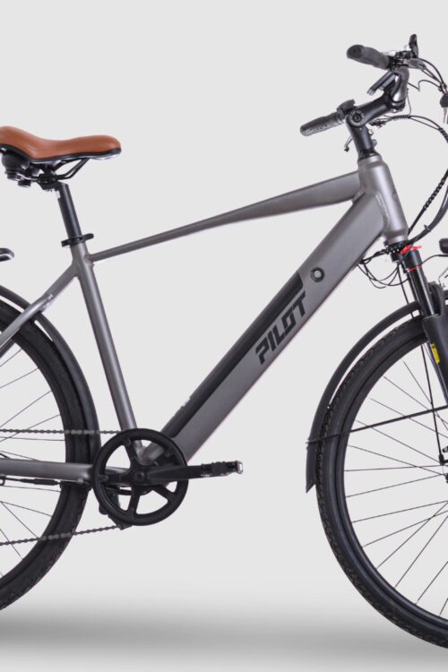 Pilot Bike, E Bike 28 Zoll GONEA M Alloy Frame, Motor:36V 350W Rear Hub Motor