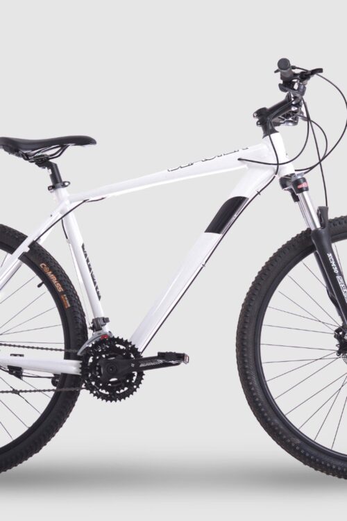 MTB 29 Zoll, Pilot Bike BLASTER Alloy Frame Brakes Shimano Hidraulic- BL-MT200& BR-MT200, Wheels  Alloy Rims Double Tires 2.125