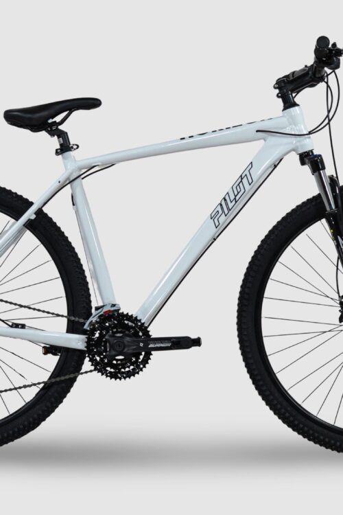 MTB 29 Zoll, Pilot Bike Fuego Horizon Shifters Shimano Turney  3/7 Speed