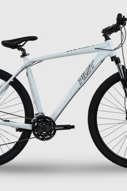 MTB 29 Zoll, Pilot Bike Fuego Horizon Shifters Shimano Turney 3/7 Speed