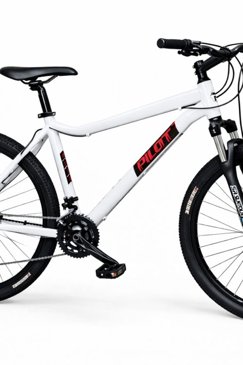 MTB 26 Zoll, Pilot Bike NARTEK Alloy Frame, Brakes Shimano Hidraulic- BL-MT200& BR-MT200, Shifters Shimano SL-M2010-9 ALTUS