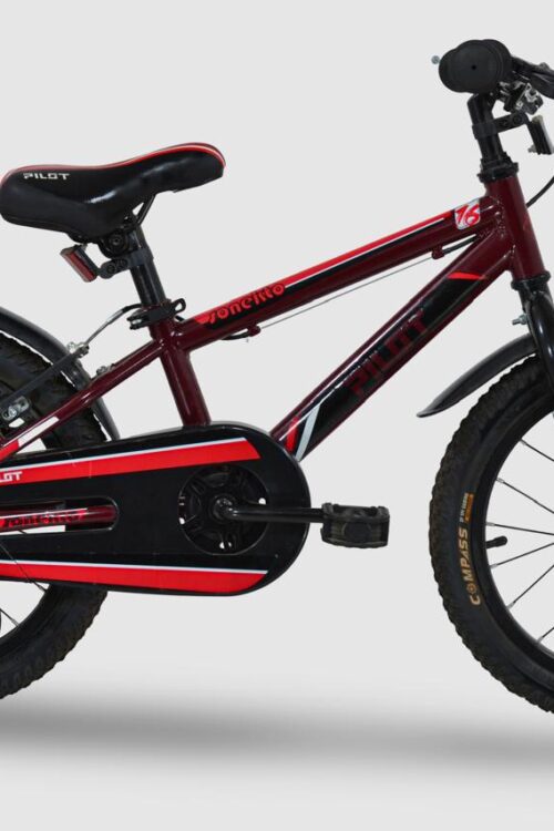 Kid’s Bike Zoll, Pilot Bike Sonetko, Speed 1S, Front Brake,  V-BRAKE, Wheels Alloy Rims W/Steel Hubs Tires 2.125